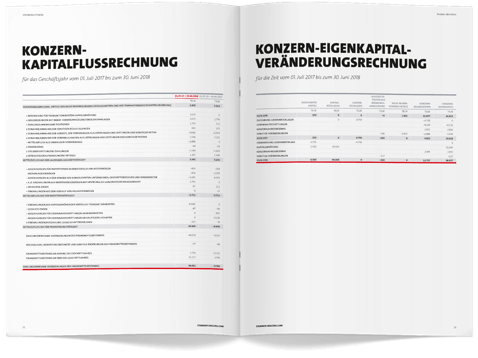 Stemmer Imaging Geschaeftsbericht 08